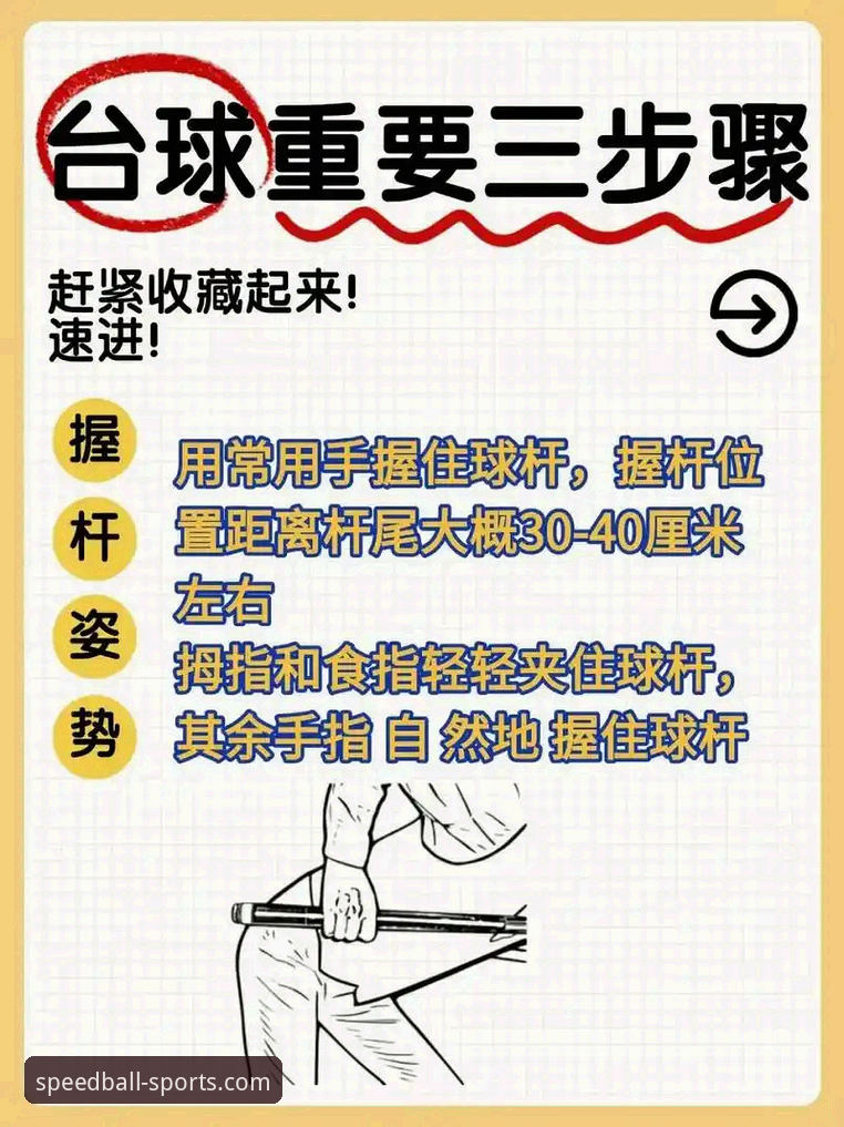 球速体育平台全面解析：从登录到观赛，新手必备的操作指南