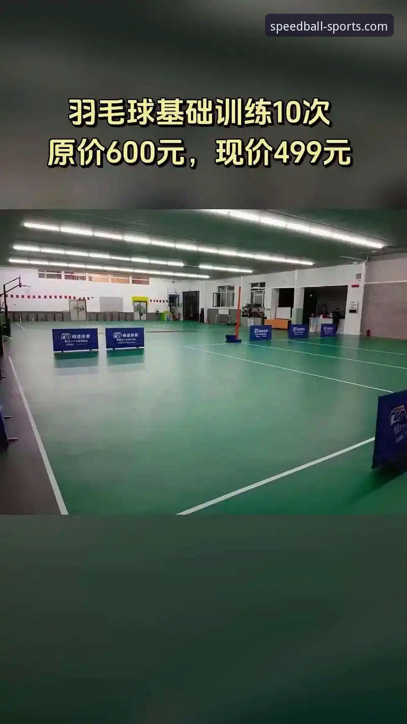 球速体育平台全面解析：如何高效获取赛事直播与最新版本体验
